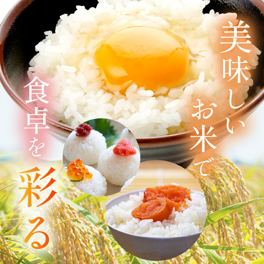 【ふるさと納税】定期便 選べる 令和7年産 米 お米 こめ コメ こしひかり コシヒカリ ミルキークイーン ゆうだい21 とちぎの星 5kg 10kg 20kg | 精米 白米 特A 人気 お買い得 ミルキークイン 送料無料 限定 訳あり 備蓄米 栃木県共通返礼品 2025年産 栃木県産 栃木県 下野市 - 画像3