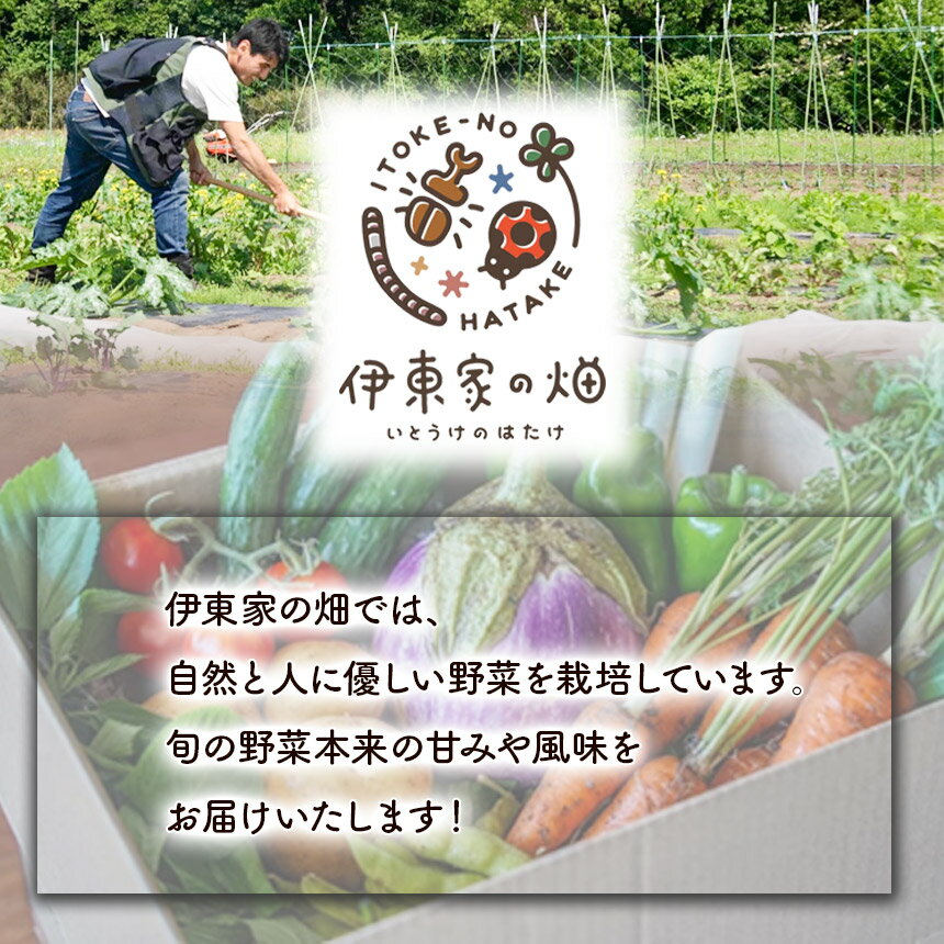 【ふるさと納税】【選べる内容量】野菜セット(3~12品種) | 下野市 旬野菜 詰め合わせ 野菜セット 地元野菜 栃木県産 新鮮野菜 産地直送 野菜通販 季節野菜 地場野菜 お取り寄せ 下野市野菜 野菜詰合せ 農薬・化学肥料・動物性肥料不使用 地元農家 栃木野菜 栃木県 下野市 - 画像2