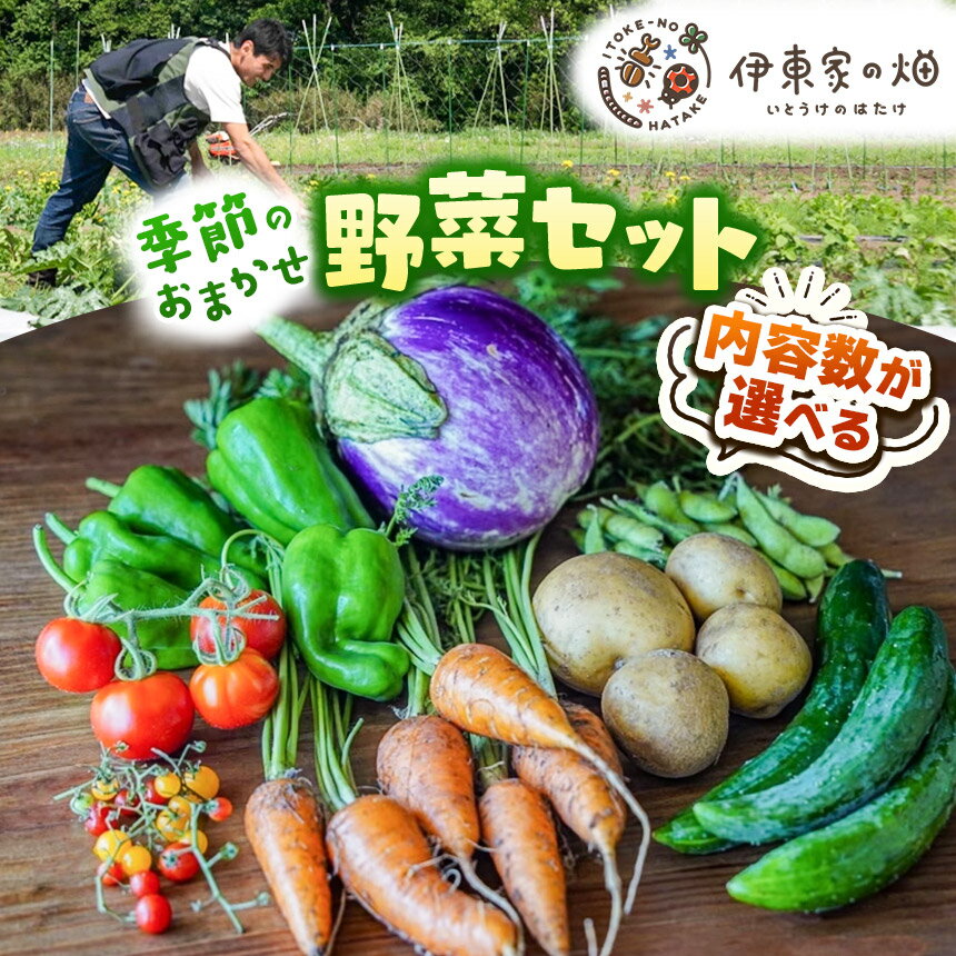 【選べる内容量】野菜セット(3~12品種) | 下野市 旬野菜 詰め合わせ 野菜セット 地元野菜 栃木県産 新鮮野菜 産地直送 野菜通販 季節野菜 地場野菜 お取り寄せ 下野市野菜 野菜詰合せ 農薬・化学肥料・動物性肥料不使用 地元農家 栃木野菜 栃木県 下野市