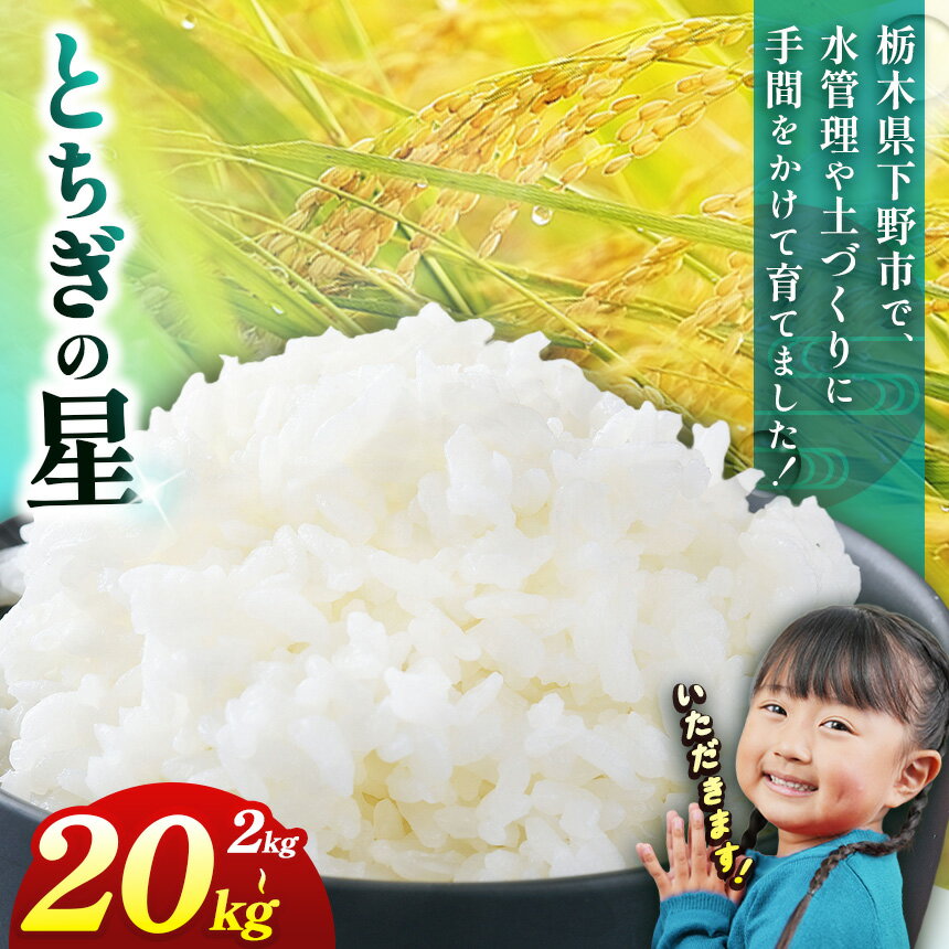 お米 下野市産 とちぎの星 2~20kg 選べる内容量 玄米 白米 | 米 こめ コメ 白米 精米 トチギの星 とちぎのほし トチギノホシ トチギノホシ 栃木米 令和7年度米 令和7年 2025年度 ブランド米 栃木県 特産品 送料無料 栃木県 下野市