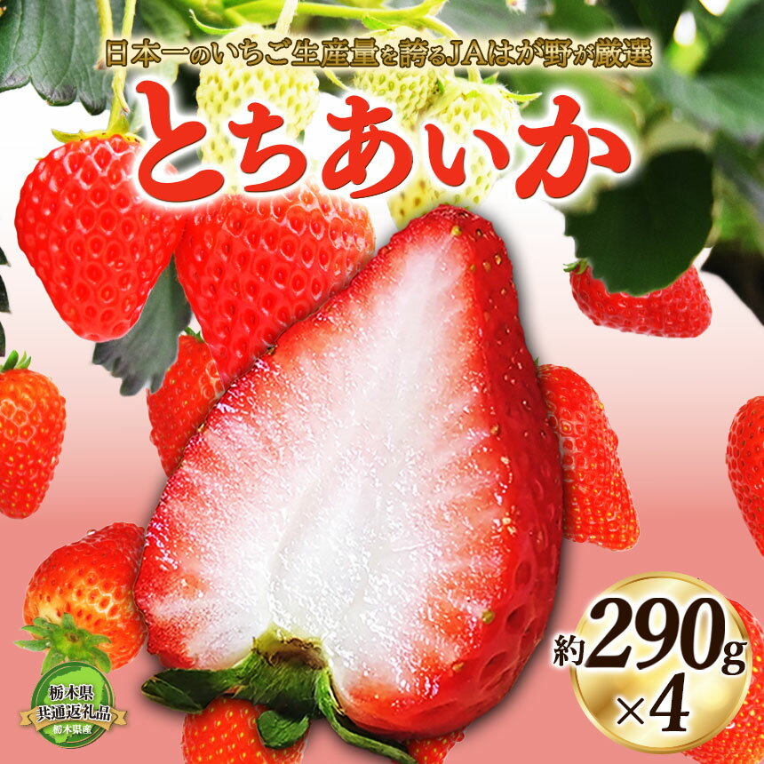 【ふるさと納税】【2026年先行予約】【栃木県共通返礼品】日本一のいちご生産量を誇るJAはが野が厳選 とちあいか | 送料無料 いちご フルーツ 甘い ジューシー かき氷 苺 イチゴ ハート ハート型 ハート 断面 果物 栃木県 下野市 スパーセール 限定 マラソン サムネイル2