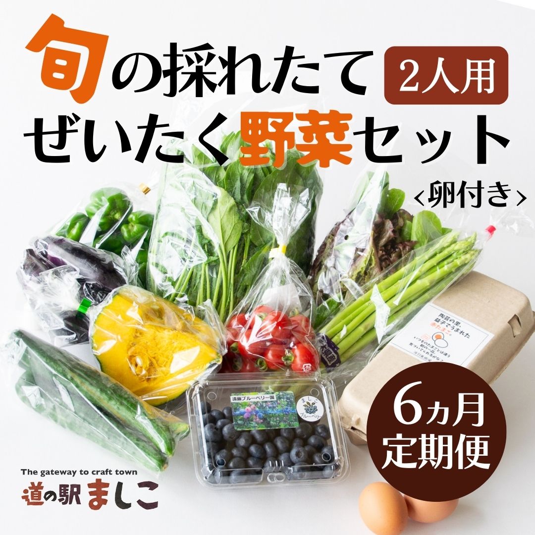 ＜6ヶ月定期便＞旬の採れたてぜいたく野菜セット（卵付き）2人用 益子町 ふるさと納税 野菜セット 野菜 やさい セット 採れたて 卵 たまご 定期便(AA034)
