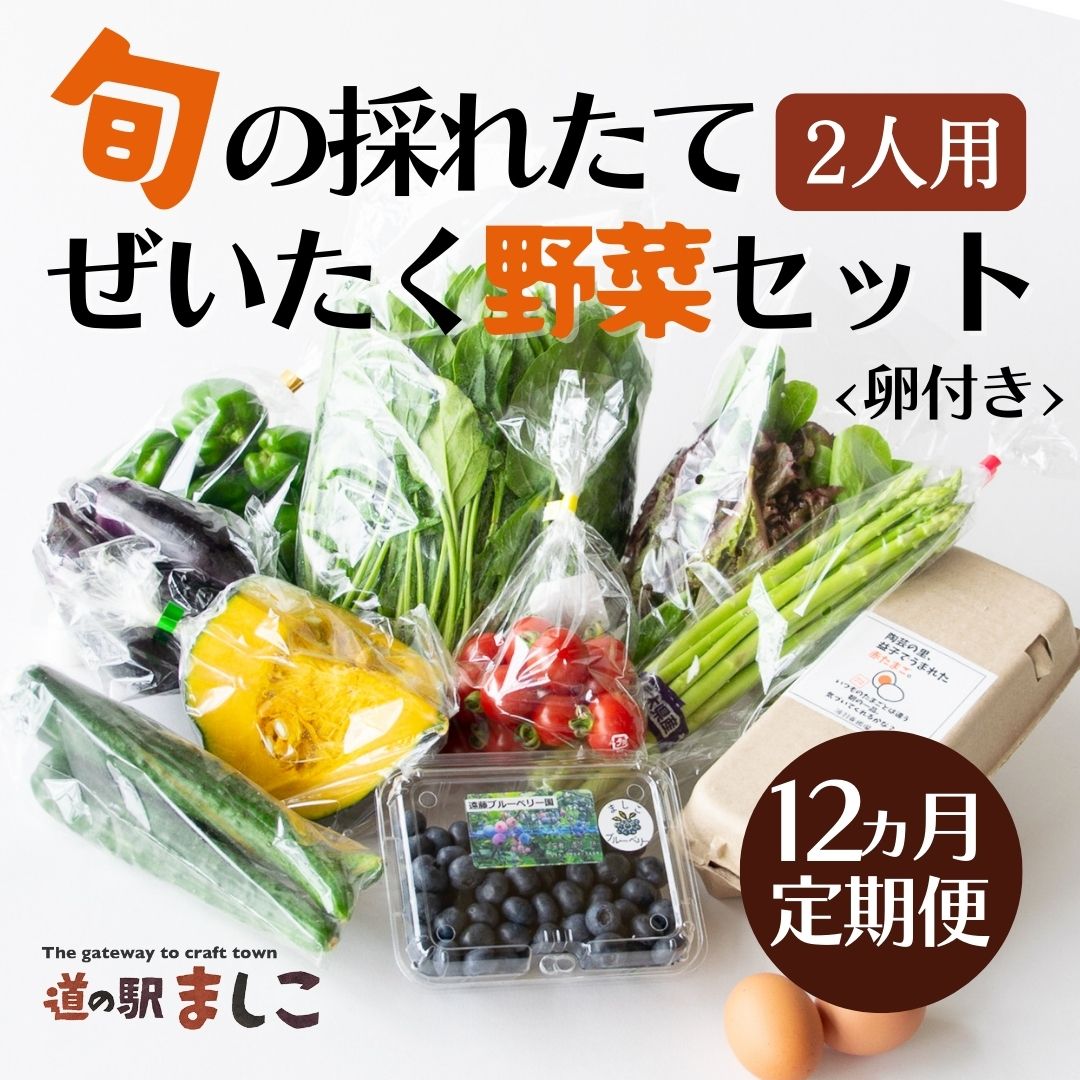 ＜12ヶ月定期便＞旬の採れたてぜいたく野菜セット（卵付き）2人用 益子町 ふるさと納税 野菜セット 野菜 やさい セット 採れたて 卵 たまご 定期便(AA035)