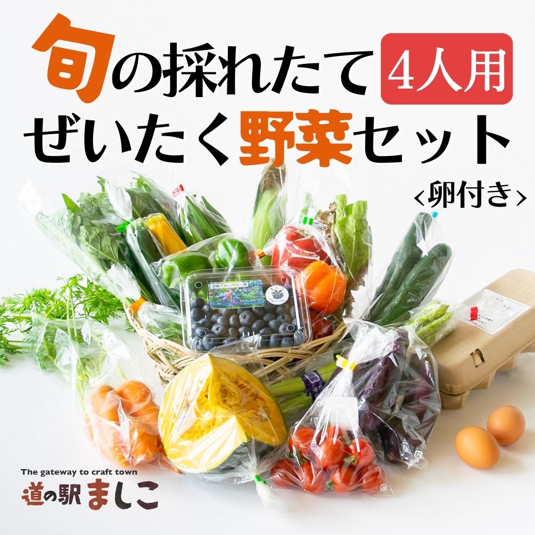 旬の採れたてぜいたく野菜セット（卵付き）4人用 益子町 ふるさと納税 野菜 やさい 野菜セット セット 卵 たまご 旬野菜 定期便(AA005)