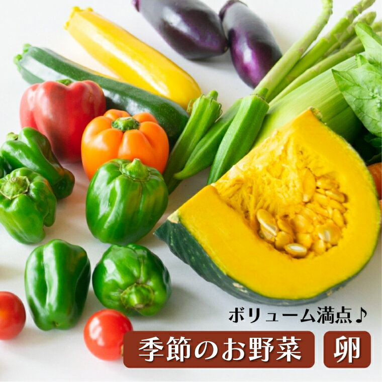 【ふるさと納税】＜12カ月定期便＞旬の採れたてぜいたく野菜セット（卵付き）4人用 益子町 ふるさと納税 野菜 やさい 野菜セット セット 卵 たまご 旬野菜 定期便(AA036) - 画像2