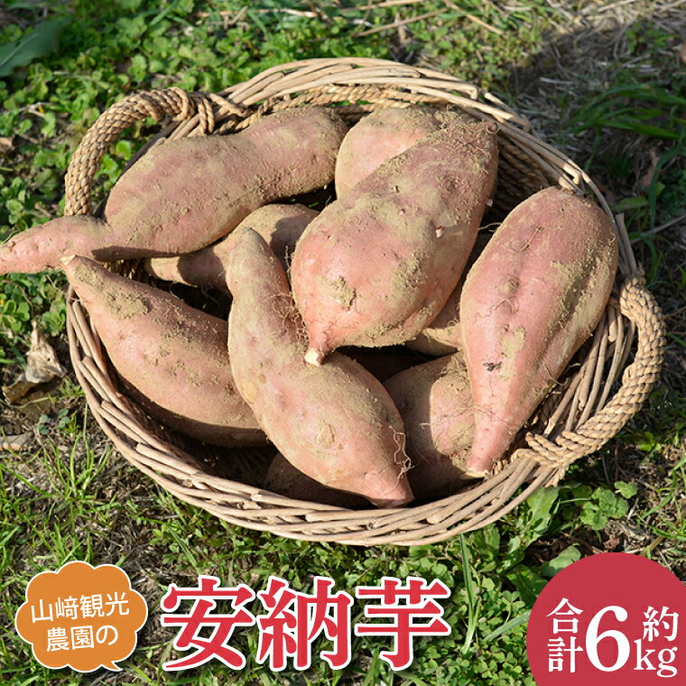 ＼濃厚な甘さの蜜芋／山崎観光農園の安納芋 約6kg ｜栃木県 益子町 ふるさと納税 里山 熟成 さつまいも 糖化熟成さつまいも 安納芋 プレミアム 蜜芋 (AU013)