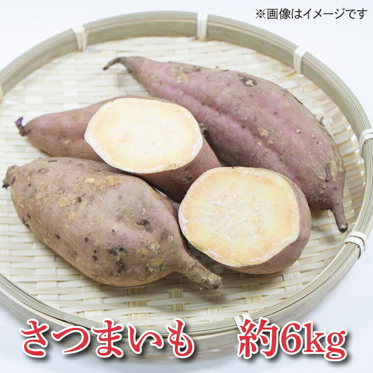 【ふるさと納税】＼濃厚な甘さの蜜芋／山崎観光農園の安納芋 約6kg ｜栃木県 益子町 ふるさと納税 里山 熟成 さつまいも 糖化熟成さつまいも 安納芋 プレミアム 蜜芋 (AU013) - 画像2