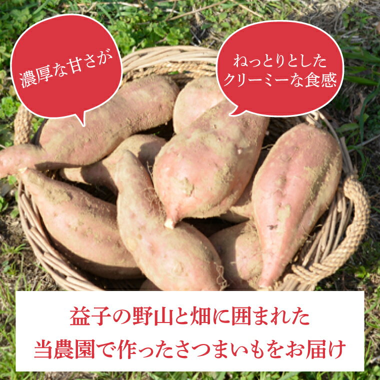 【ふるさと納税】＼濃厚な甘さの蜜芋／山崎観光農園の安納芋 約6kg ｜栃木県 益子町 ふるさと納税 里山 熟成 さつまいも 糖化熟成さつまいも 安納芋 プレミアム 蜜芋 (AU013) - 画像3