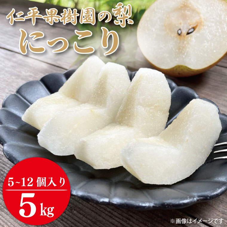 【順次配送】【数量限定】仁平果樹園の梨 「にっこり」5kg (5個～12個) (10月上旬より順次配送) | 果物 新鮮 フルーツ ギフト 梨 ナシ 益子町産梨 甘い あまい 糖度11.5以上 糖度保証 果汁 果肉 栃木県 益子町 (DB005)