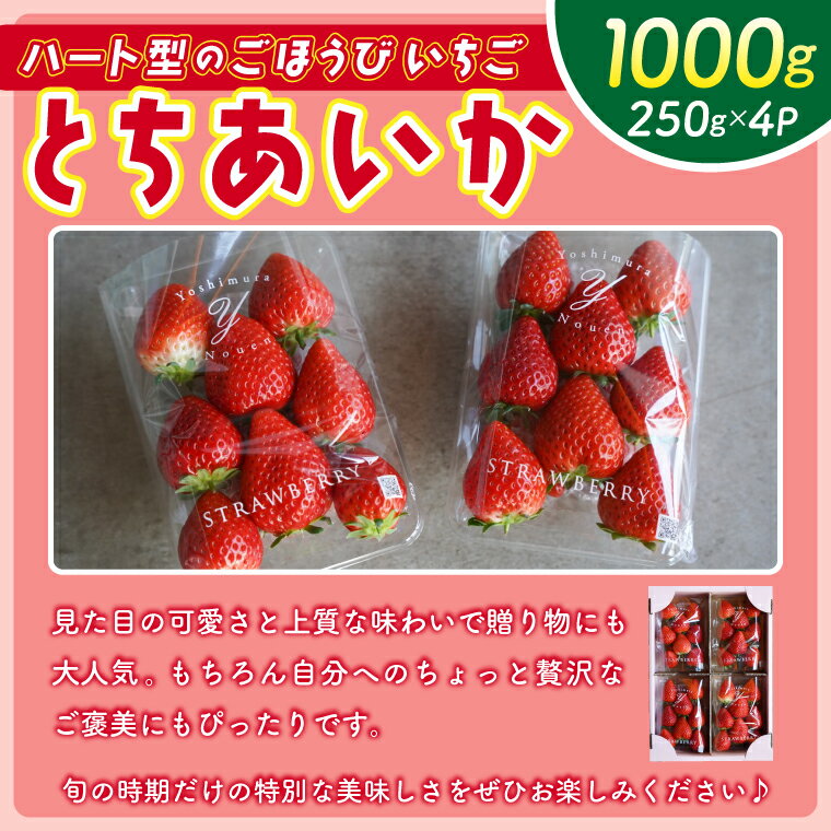 【ふるさと納税】【2026年1月発送開始】【先行予約】ハート型のご褒美いちご とちあいか 合計1kg (250g×4パック) | 栃木県 ふるさと納税 いちご イチゴ 苺 果物 フルーツ とちあいか 熟成 ご褒美 ハート型 こだわり (DS001) サムネイル3