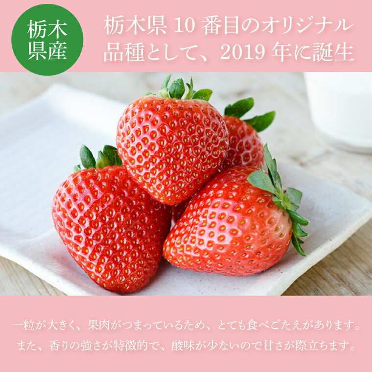 【ふるさと納税】鈴木農園のいちご　とちあいか 約300g以上×2パック｜栃木県 益子町 ふるさと納税 大きい いちご イチゴ 苺 果物 フルーツ とちあいか 人気 600g以上 3Lサイズ (DJ002) サムネイル2