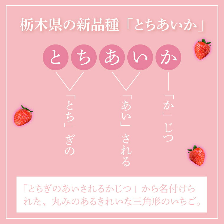 【ふるさと納税】鈴木農園のいちご　とちあいか 約300g以上×2パック｜栃木県 益子町 ふるさと納税 大きい いちご イチゴ 苺 果物 フルーツ とちあいか 人気 600g以上 3Lサイズ (DJ002) サムネイル3
