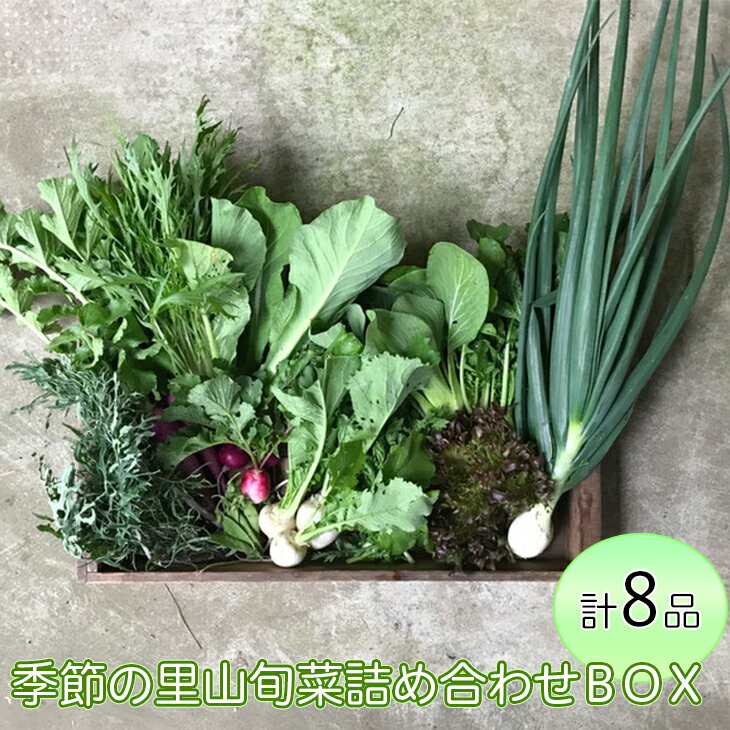 わたね　季節の里山旬菜詰め合わせBOX（計8品）≪ギフト セット 野菜 無農薬 グルメ≫※着日指定不可