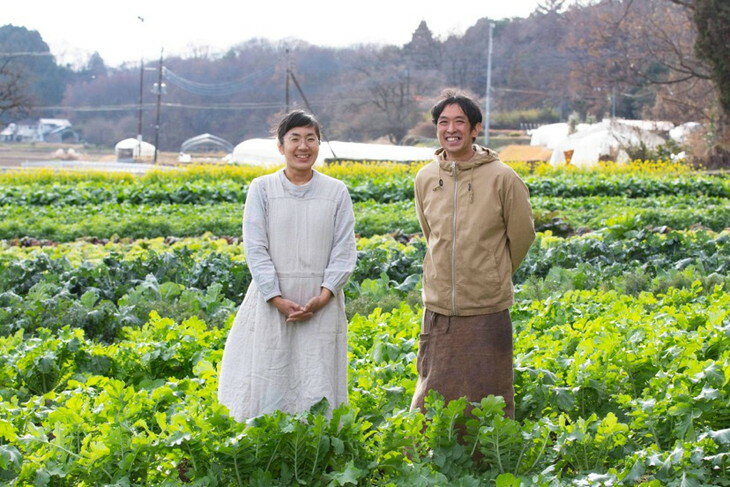 【ふるさと納税】わたね　季節の里山旬菜詰め合わせBOX（計8品）≪ギフト セット 野菜 無農薬 グルメ≫※着日指定不可 - 画像3