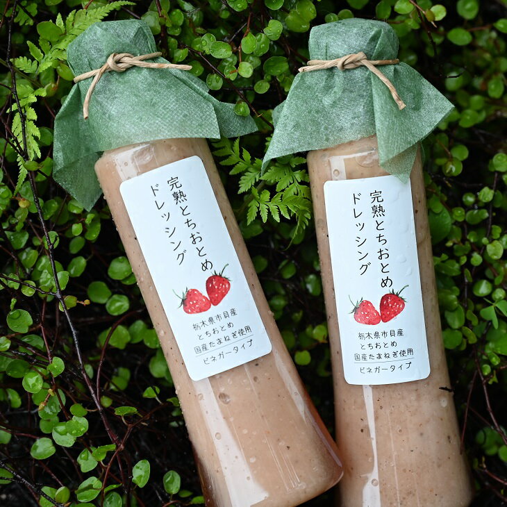 【ふるさと納税】完熟とちおとめドレッシング2本セット サムネイル3