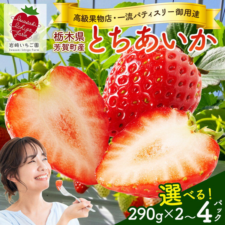 ＼選べるパック数／【先行予約】栃木県芳賀町産いちご とちあいか290g(7～12粒) | 果物 フルーツ いちご 苺 イチゴ とちあいか ブランド 期間限定 季節限定 旬 国産※2026年1月上旬～4月下旬頃に順次発送予定