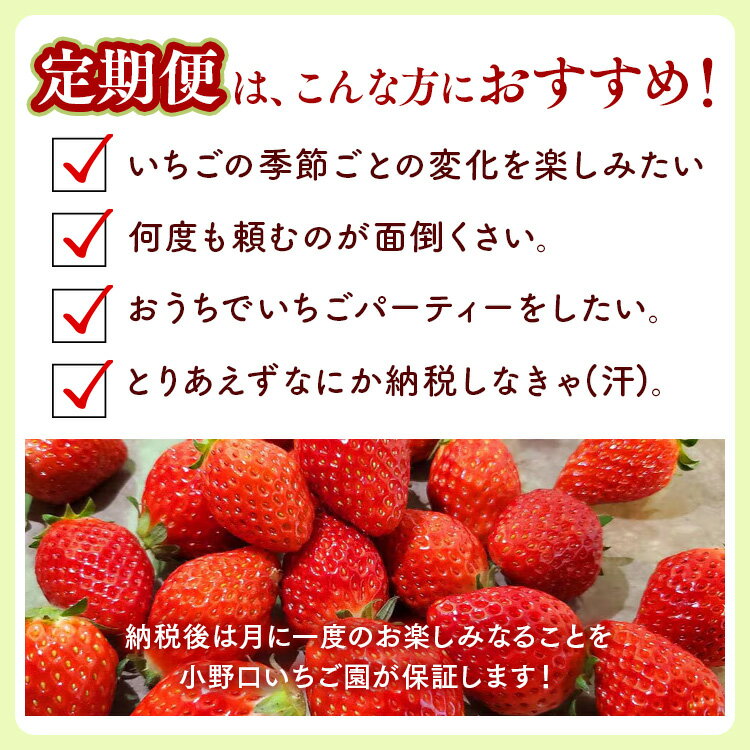 【ふるさと納税】【定期便】＜いちご3ヶ月定期便＞先行受付 とちあいか とちおとめ 300g以上2パック計3回 | 完熟 朝摘み 苺 いちご イチゴ とちあいか とちおとめ 食べ比べ 果物 フルーツ 秀品 贈答 栃木県 壬生町 産地直送 ※2026年1月上旬頃より順次発送予定 サムネイル2