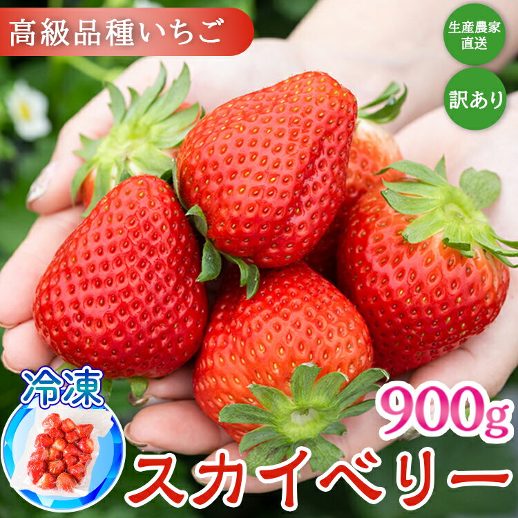 【訳あり】冷凍スカイベリー900g (300g×3) | 生産者直送 高級品種 無選別訳あり 冷凍 いちご 栃木県壬生町産 果物 フルーツ 苺 イチゴ スムージー ジャム 不揃い