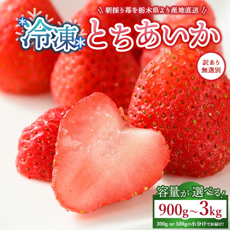 【選べる容量】【訳あり】冷凍いちご とちあいか 900g（300g×3）・1.8kg（300g×6）・3kg（500g×6） ｜ 生産者直送 人気の新品種 無選別訳あり 冷凍 いちご 栃木県壬生町産 果物 フルーツ 苺 イチゴ スムージー ジャム 不揃い 小分け