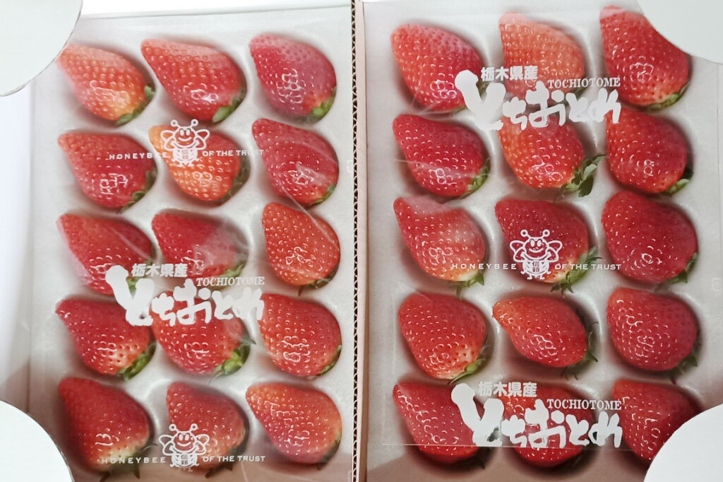 【ふるさと納税】＜いちご3か月定期便＞栃木県産とちおとめ 320g×2パック 3Lサイズ 3回 | 栃木県 壬生町 いちご 苺 イチゴ とちおとめ フルーツ 果物 新鮮 平積み 産地直送 2026年1月 2月 3月 ※2026年1月中旬頃より順次発送予定 ※離島への配送不可 サムネイル3