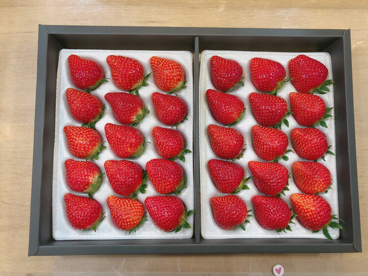 【ふるさと納税】栃木県産朝採り甘熟とちおとめ12～18粒の大粒を2パックでお届け400g×2p ｜ とちおとめ いちご 苺 栃木県 果物 フルーツ ※北海道・沖縄・離島への配送不可 ※2026年1月上旬～4月中旬頃に順次発送予定 サムネイル2