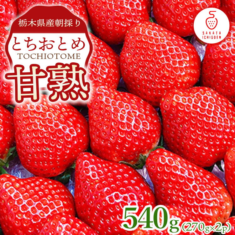 栃木県産甘熟とちおとめ 270g×2P｜ とちおとめ いちご 苺 栃木県 果物 フルーツ ※北海道・沖縄・離島への配送不可 ※2026年1月上旬～4月中旬頃に順次発送予定