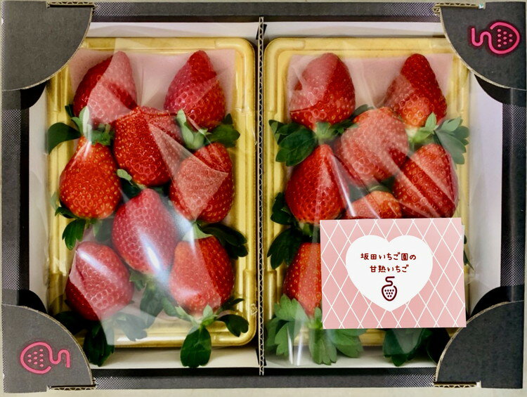 【ふるさと納税】栃木県産甘熟とちおとめ 270g×2P｜ とちおとめ いちご 苺 栃木県 果物 フルーツ ※北海道・沖縄・離島への配送不可 ※2026年1月上旬～4月中旬頃に順次発送予定 サムネイル2