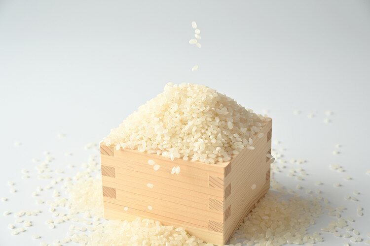 【ふるさと納税】≪先行受付≫＼選べる容量／有坂ファームの令和7年産ゆうだい21 精米 - 画像2