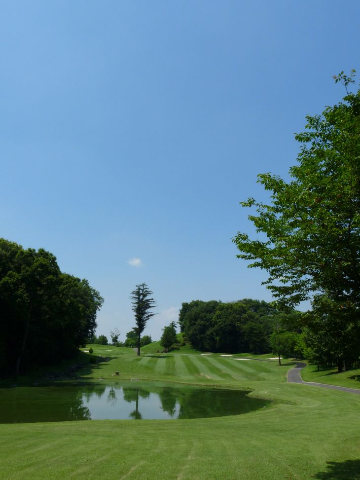 【ふるさと納税】宇都宮ガーデンゴルフクラブ　平日ゴルフプレー券（昼食付・セルフ）　1名様分 ゴルフチケット ゴルフ利用券 GOLF golf - 画像2
