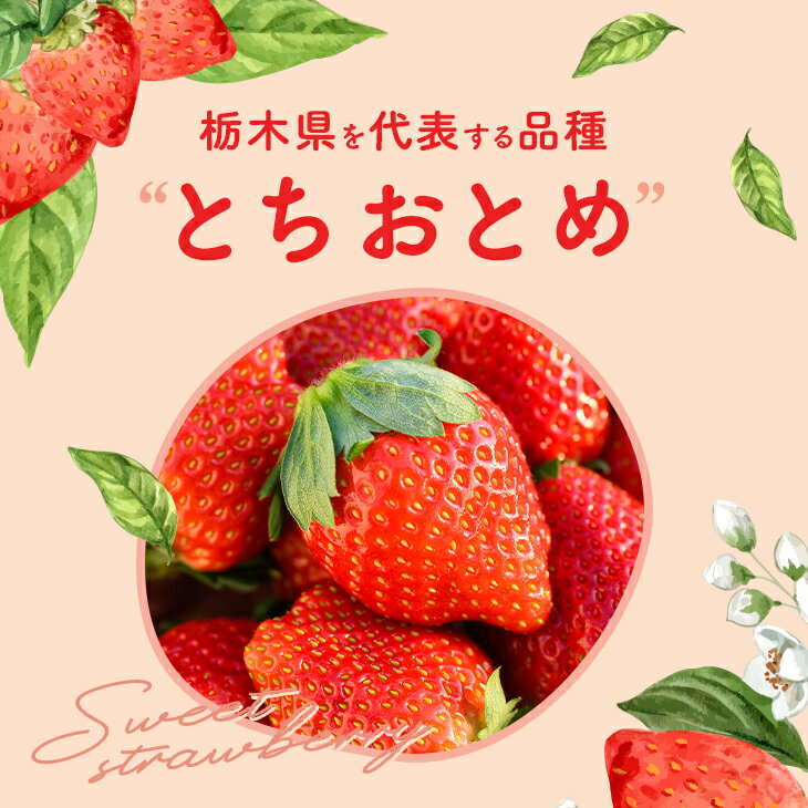 【ふるさと納税】栃木県高根沢町産とちおとめ　260g×4パック ※北海道・沖縄・離島への配送不可 ※2026年1月中旬～3月下旬頃に順次発送予定 サムネイル2