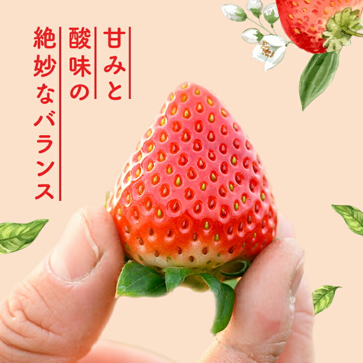 【ふるさと納税】栃木県高根沢町産とちおとめ　260g×4パック ※北海道・沖縄・離島への配送不可 ※2026年1月中旬～3月下旬頃に順次発送予定 サムネイル3