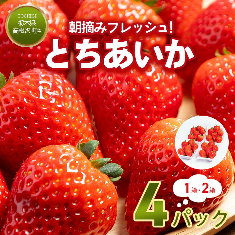 ＼選べる内容量／とちあいか4パック (1箱 または 2箱) | いちご 苺 イチゴ とちあいか フルーツ スイーツ デザート 人気 産地直送 特産品 栃木県 高根沢町　※2026年1月上旬～4月下旬頃に順次発送予定 ※北海道・沖縄・離島への配送不可