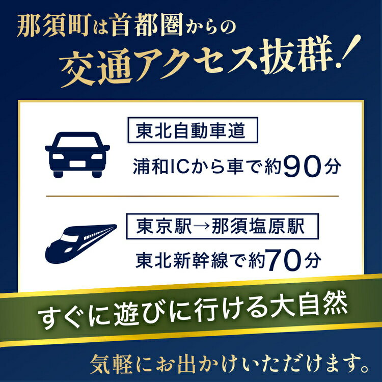 【ふるさと納税】那須でゴルフを満喫！ゴルフ場利用券9,000円分｜ゴルフ ゴルフ場 利用券 チケット プレーチケット 体験 旅行 観光 プレー券 那須 栃木県那須町 那須町〔D-42〕※着日指定不可※離島への配送不可 サムネイル2