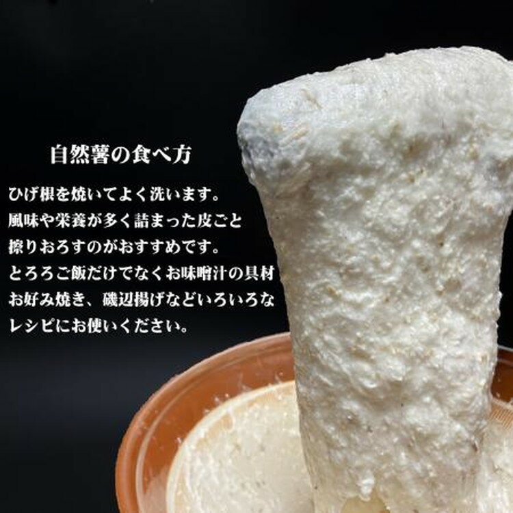 【ふるさと納税】那須町産 自然薯（カット）600g～650g ｜カット お土産 贈り物 ご自宅用 とろろ とろろご飯 山芋 健康 国産 産地直送 那須 栃木県 那須町〔P-151〕 ※2025年12月頃より順次発送予定 サムネイル2