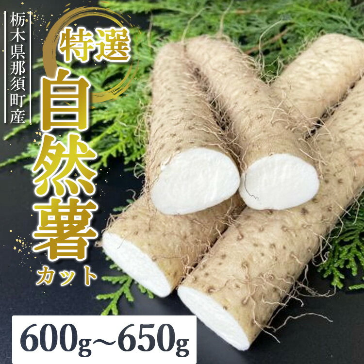 那須町産 自然薯（カット）600g～650g ｜カット お土産 贈り物 ご自宅用 とろろ とろろご飯 山芋 健康 国産 産地直送 那須 栃木県 那須町〔P-151〕 ※2025年12月頃より順次発送予定