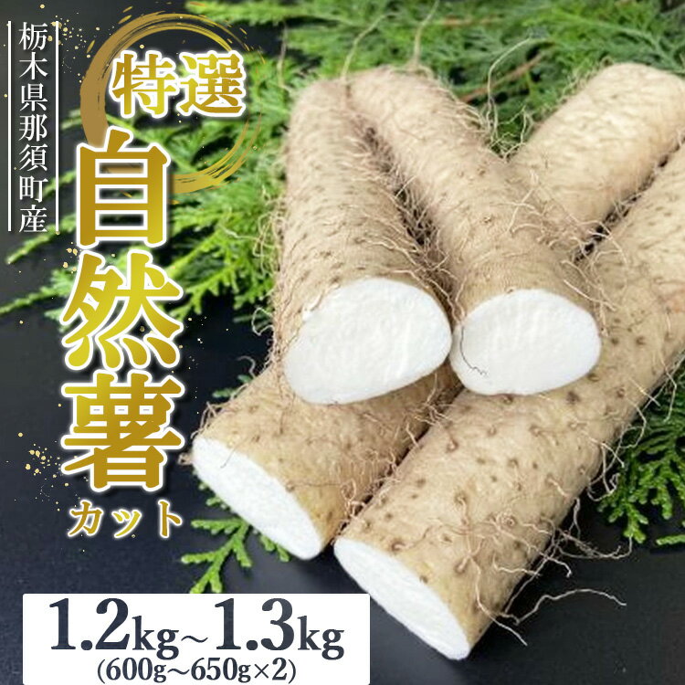 那須町産 自然薯（カット）1.2kg～1.3kg ｜カット お土産 贈り物 ご自宅用 とろろ とろろご飯 山芋 健康 国産 産地直送 那須 栃木県 那須町〔P-152〕 ※2025年12月頃より順次発送予定