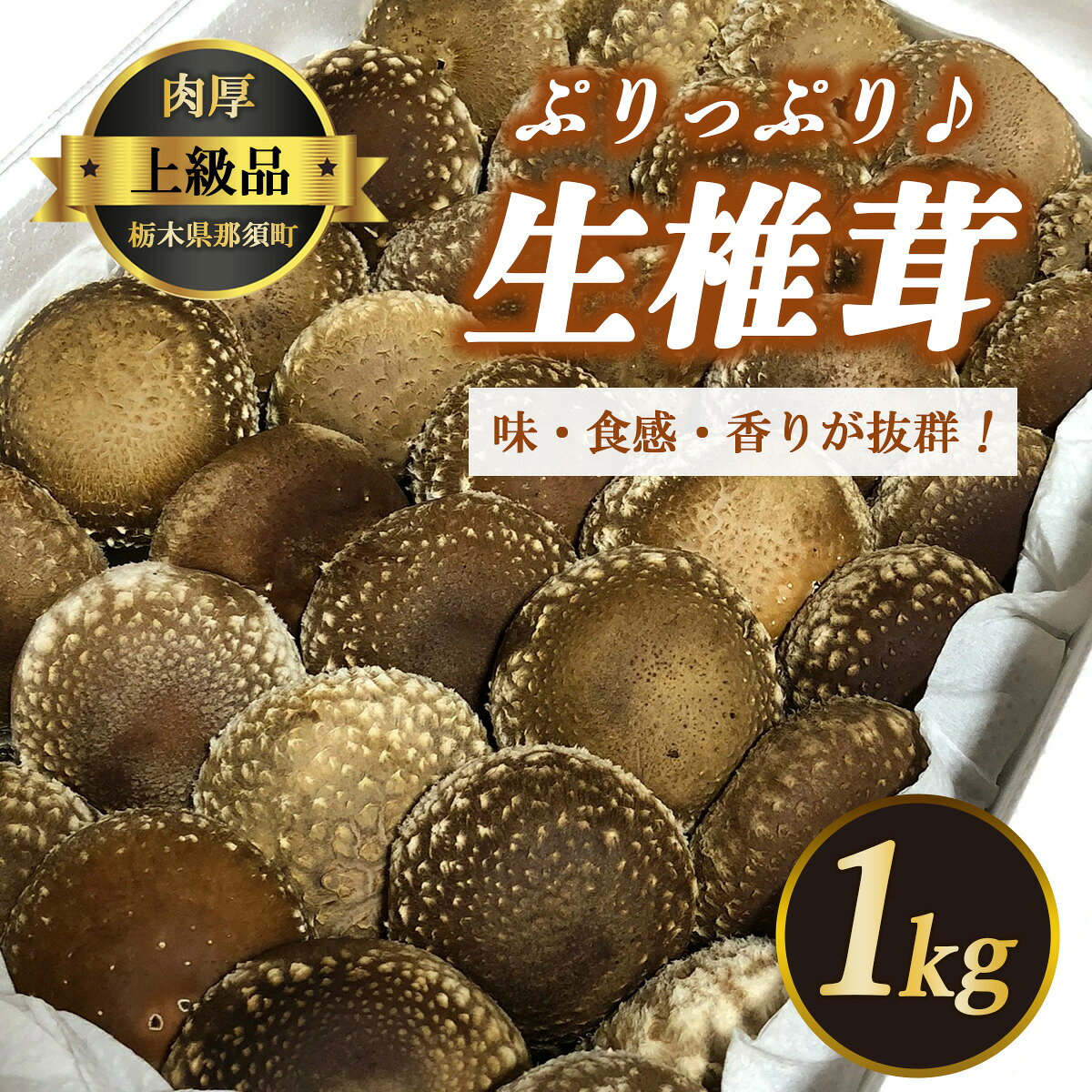 生しいたけ 冷蔵 那須町 〔B-25〕