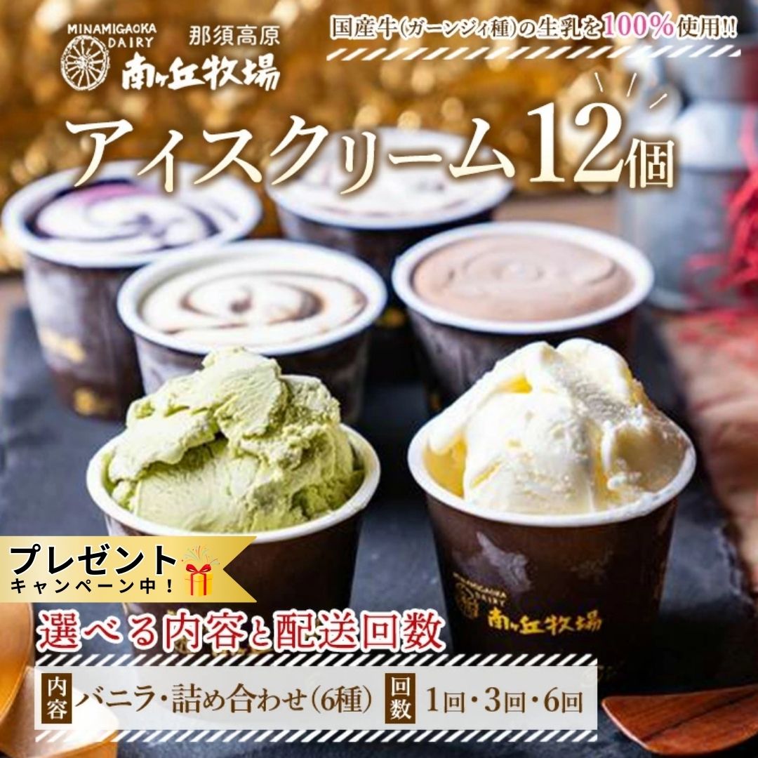 【選べる内容と配送回数】南ヶ丘牧場 アイスクリーム 12個セット ｜ スイーツ アイス 高級アイス 詰め合わせ 乳牛 冷凍 那須町