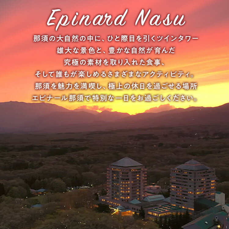 【ふるさと納税】＼レビューキャンペーン／ホテルエピナール那須施設利用券(300,000円分) ｜ 温泉 露天風呂 宿泊 旅行 チケット 宿泊券 宿泊ギフト券 利用券 観光 リゾートホテル アクティビティ 栃木県 那須町〔P-178〕※着日指定不可 サムネイル2