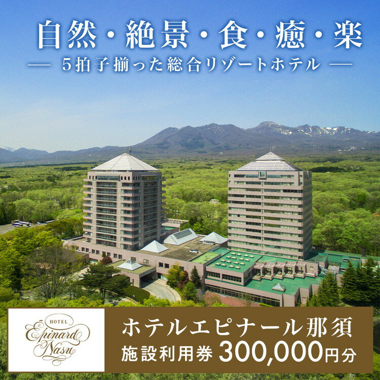 ＼レビューキャンペーン／ホテルエピナール那須施設利用券(300,000円分) ｜ 温泉 露天風呂 宿泊 旅行 チケット 宿泊券 宿泊ギフト券 利用券 観光 リゾートホテル アクティビティ 栃木県 那須町〔P-178〕※着日指定不可