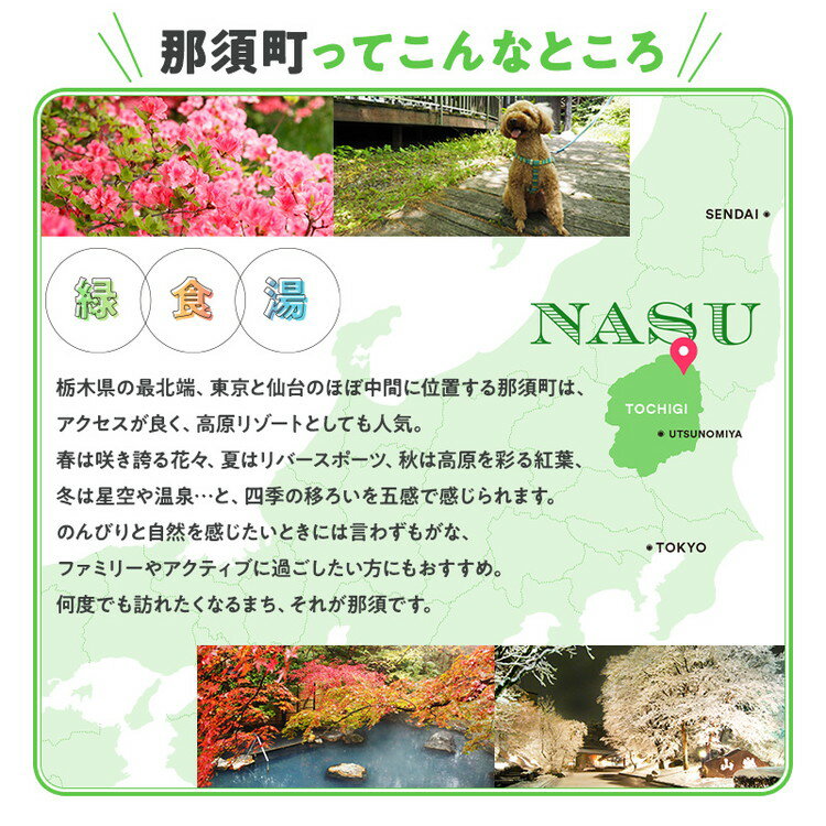 【ふるさと納税】【金額が選べる】HISふるさと納税宿泊予約専用クーポン（栃木県那須町）3,000円～90,000円分｜宿泊 宿泊券 旅行 旅行券 旅券 クーポン 旅 トラベル お出かけ 温泉 宿泊予約 HIS 那須 サムネイル3