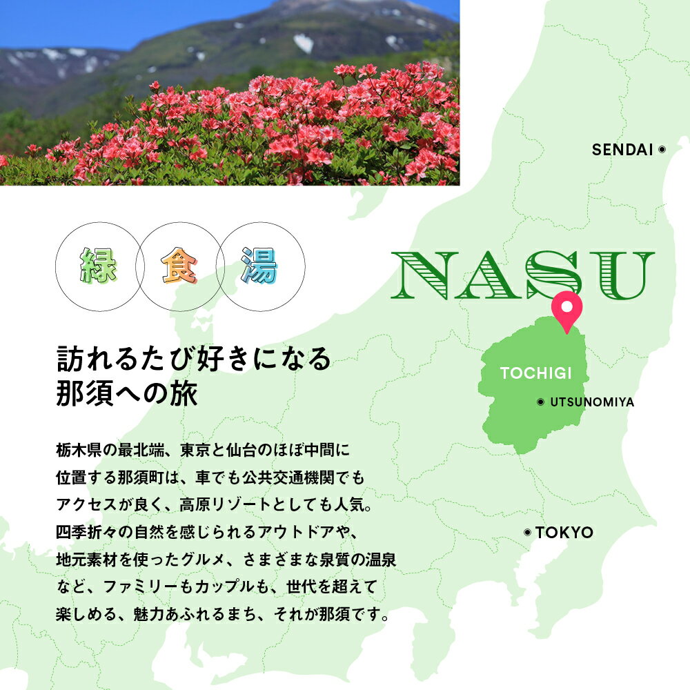 【ふるさと納税】楽天トラベルでも使える那須温泉旅館協同組合　ご宿泊利用券135,000円分（3,000円×45枚）｜ 宿泊 旅行 チケット クーポン 宿泊券 楽天トラベル 温泉 露天風呂 旅行券 温泉 ホテル 〔N-1〕 サムネイル2