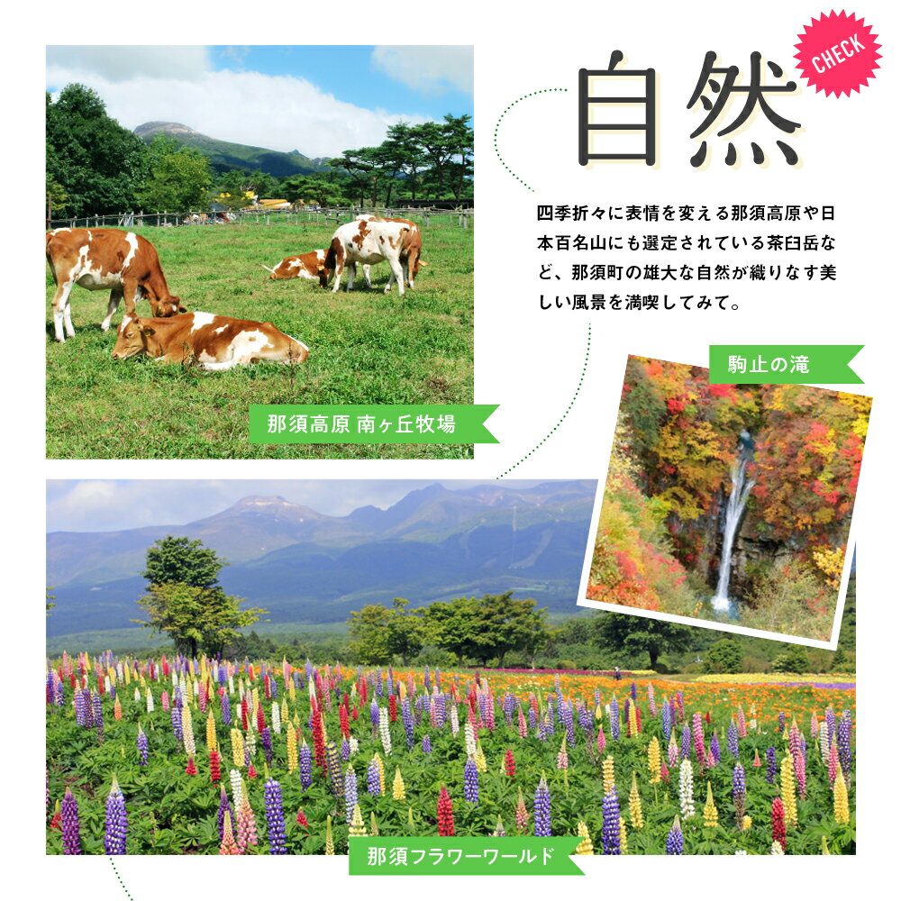 【ふるさと納税】楽天トラベルでも使える那須温泉旅館協同組合　ご宿泊利用券135,000円分（3,000円×45枚）｜ 宿泊 旅行 チケット クーポン 宿泊券 楽天トラベル 温泉 露天風呂 旅行券 温泉 ホテル 〔N-1〕 サムネイル3