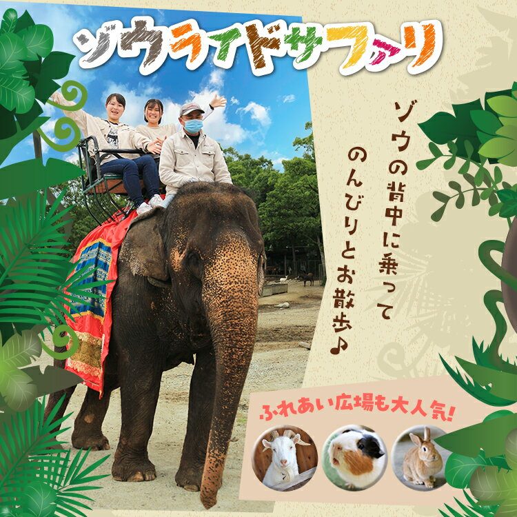 【ふるさと納税】那須サファリパーク入園券セット 大人2名 子ども2名（入園＋ライオンバス＋エサやり）モンキーパーク割引チケット付き！動物 動物園チケット どうぶつえん チケット 券 入場券 入園券 エサやり ライオンバス付き 観光 ファミリー 栃木県 那須町〔P-160〕 サムネイル3