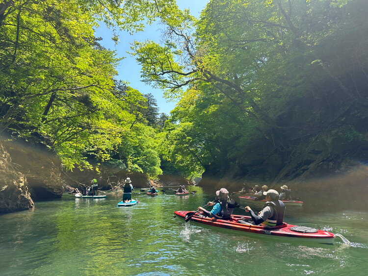 【ふるさと納税】【選べる乗船人数】矢の目ダム湖のカヌー半日体験ツアー 大人ペアチケット ｜ 那須 チケット 利用券 ペア アクティビティ カヌー 体験 那須 栃木県 那須町 サムネイル3