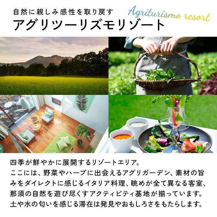 【ふるさと納税】星野リゾート リゾナーレ那須 宿泊ギフト券（30,000円分）｜ 宿泊 旅行 チケット 宿泊券 旅行券 観光 国内旅行 那須 栃木県 那須町〔P-33〕※着日指定不可 サムネイル2