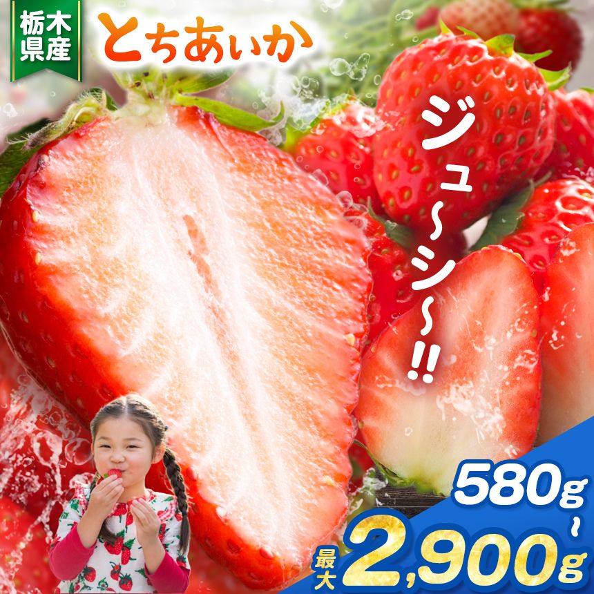 いちご 限定 選べる とちあいか 大粒 新鮮 甘い 食べ比べ 数量 美味しい 果物 共通返礼品 フルーツ デザート 栃木県共通返礼品 選べる 内容量 とちあいか 580g ～ 2900g | 栃木県 那珂川町 送料無料 ご褒美