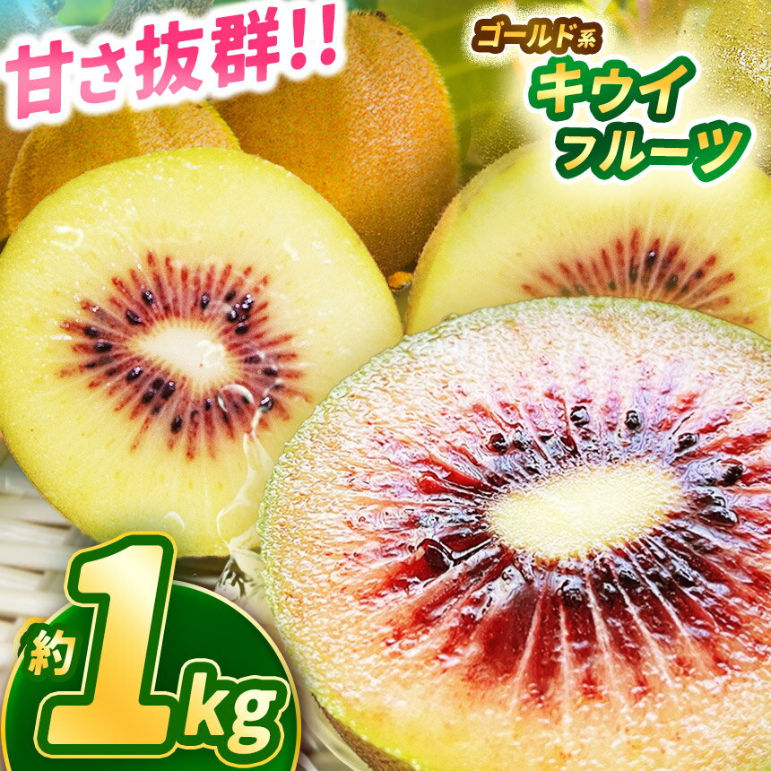 【2025年先行予約】【ふるさと納税】甘さ抜群のゴールド系 キウイフルーツ 1kg | 果物 くだもの フルーツ 野菜 やさい ヤサイ キウイ きうい ゴールドキウイ 新鮮 フレッシュ 甘い 美味しい フルーツ デザート 栃木県 那珂川町 送料無料 ジューシー ご褒美 サムネイル2