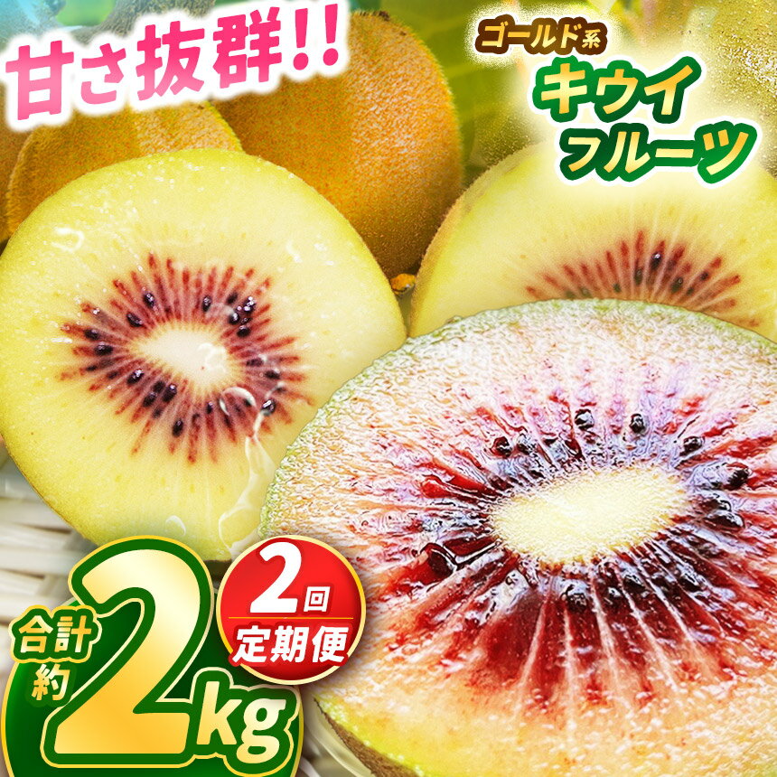 【2025年先行予約】【ふるさと納税】甘さ抜群のゴールド系 キウイフルーツ 1kg | 果物 くだもの フルーツ 野菜 やさい ヤサイ キウイ きうい ゴールドキウイ 新鮮 フレッシュ 甘い 美味しい フルーツ デザート 栃木県 那珂川町 送料無料 ジューシー ご褒美 サムネイル3