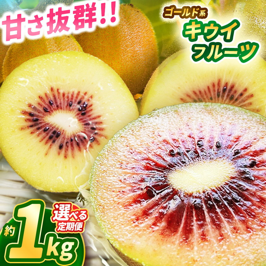 【2025年先行予約】甘さ抜群のゴールド系 キウイフルーツ 1kg | 果物 くだもの フルーツ 野菜 やさい ヤサイ キウイ きうい ゴールドキウイ 新鮮 フレッシュ 甘い 美味しい フルーツ デザート 栃木県 那珂川町 送料無料 ジューシー ご褒美